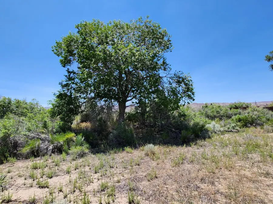 23 Calico Hills Drive, Yerington, NV 89447 - Image #2