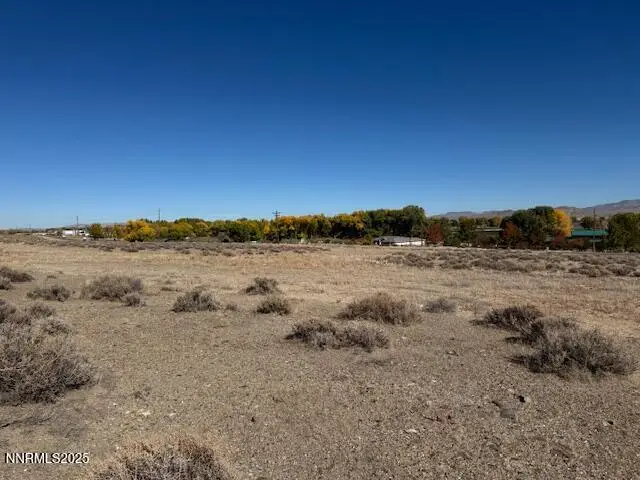 225 Nv-339, Yerington, NV 89447 - Image #3