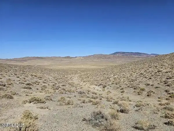 Parcel # 00920002 Whiskey Flat Mining District, Hawthorne, NV 89415
