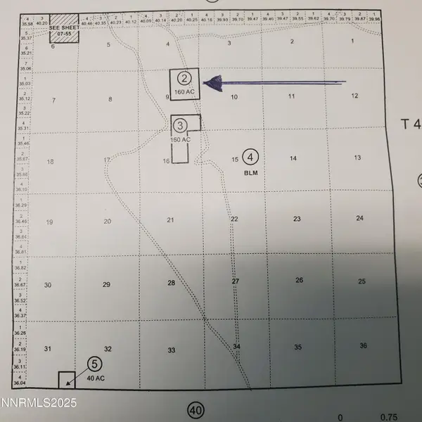 0 Marrieta Mine Road, Mina, NV 89422