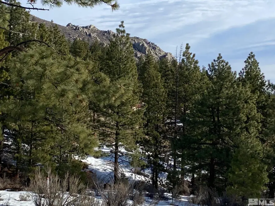 3521 Cutoff Trail #14, Carson City, NV 89705 - Image #3