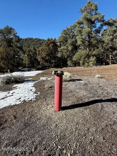 1410 Scorpion Road, Reno, NV 89521 - Image #2