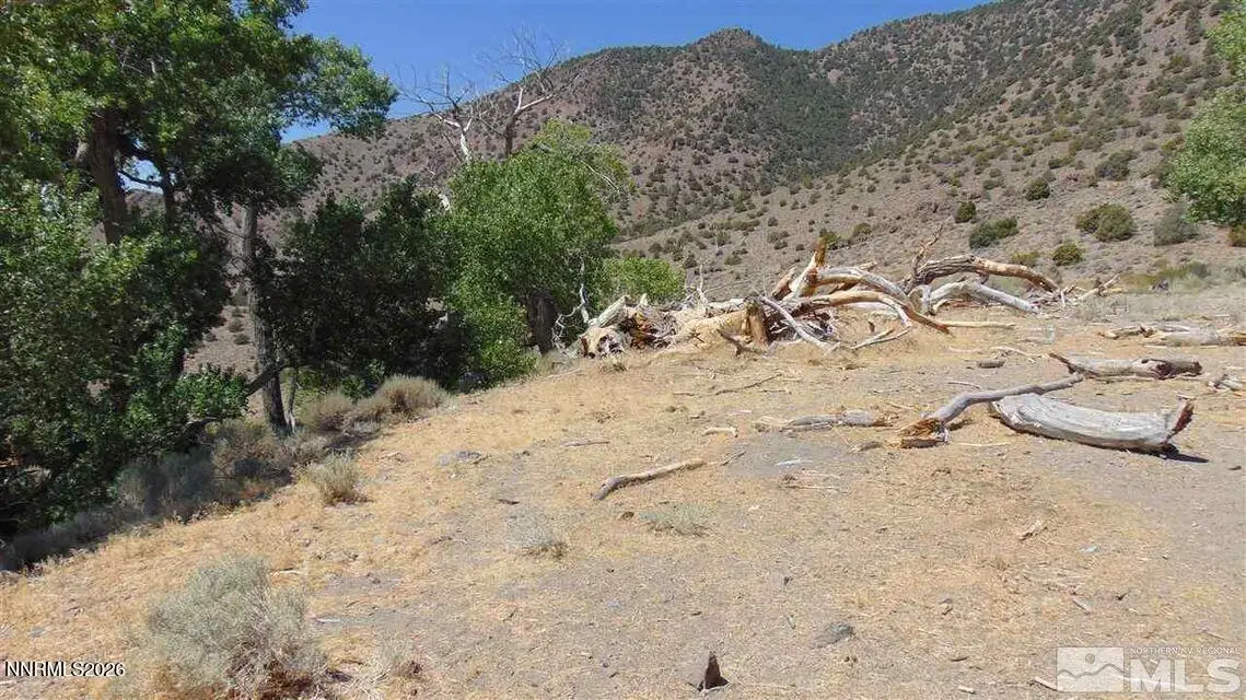 00429110 Sutro Springs Road, Dayton, NV 89403 - Image #1