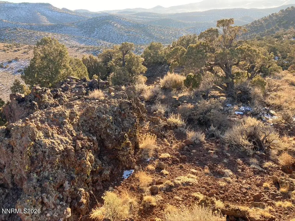 00 Microwave Road #2, Reno, NV 89510 - Image #1