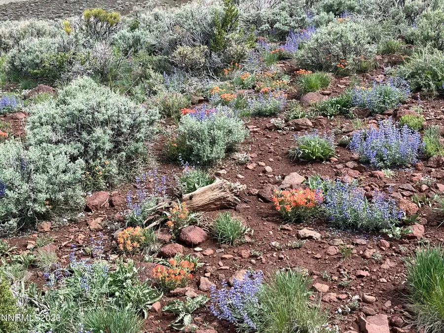 0000 Microwave Road #3, Reno, NV 89510 - Image #2