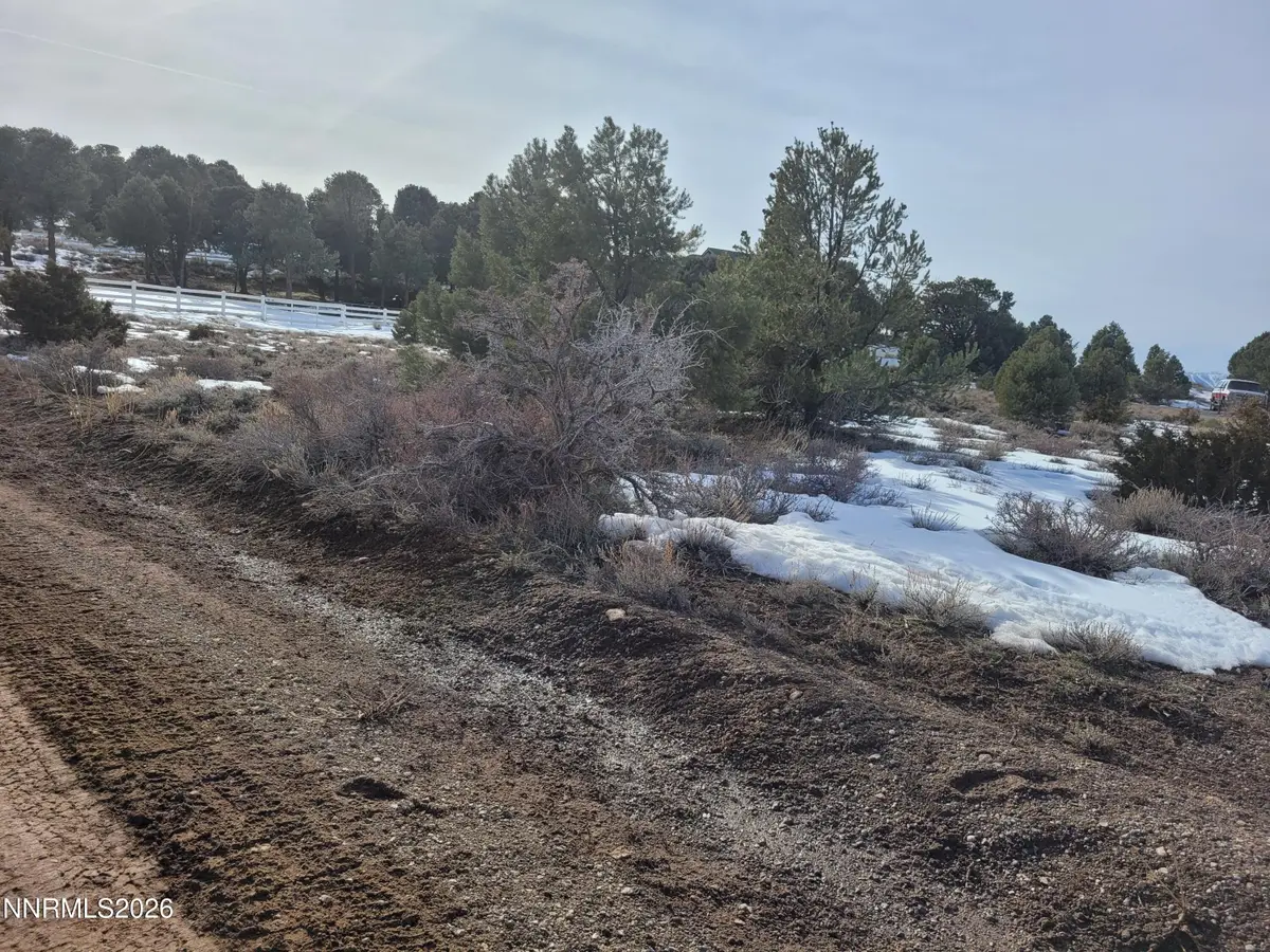 21310 Fey Road, Reno, NV 89521 - Image #1