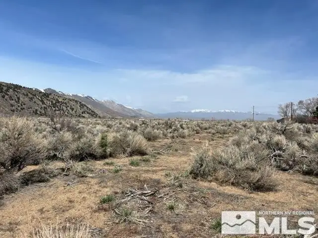Lot X3 Us Highway 395, Coleville, CA 96107 - Image #1