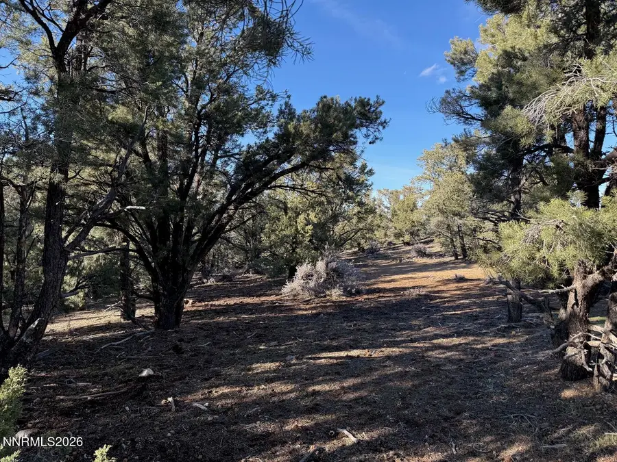 2000 Flint Road, Reno, NV 89521 - #3