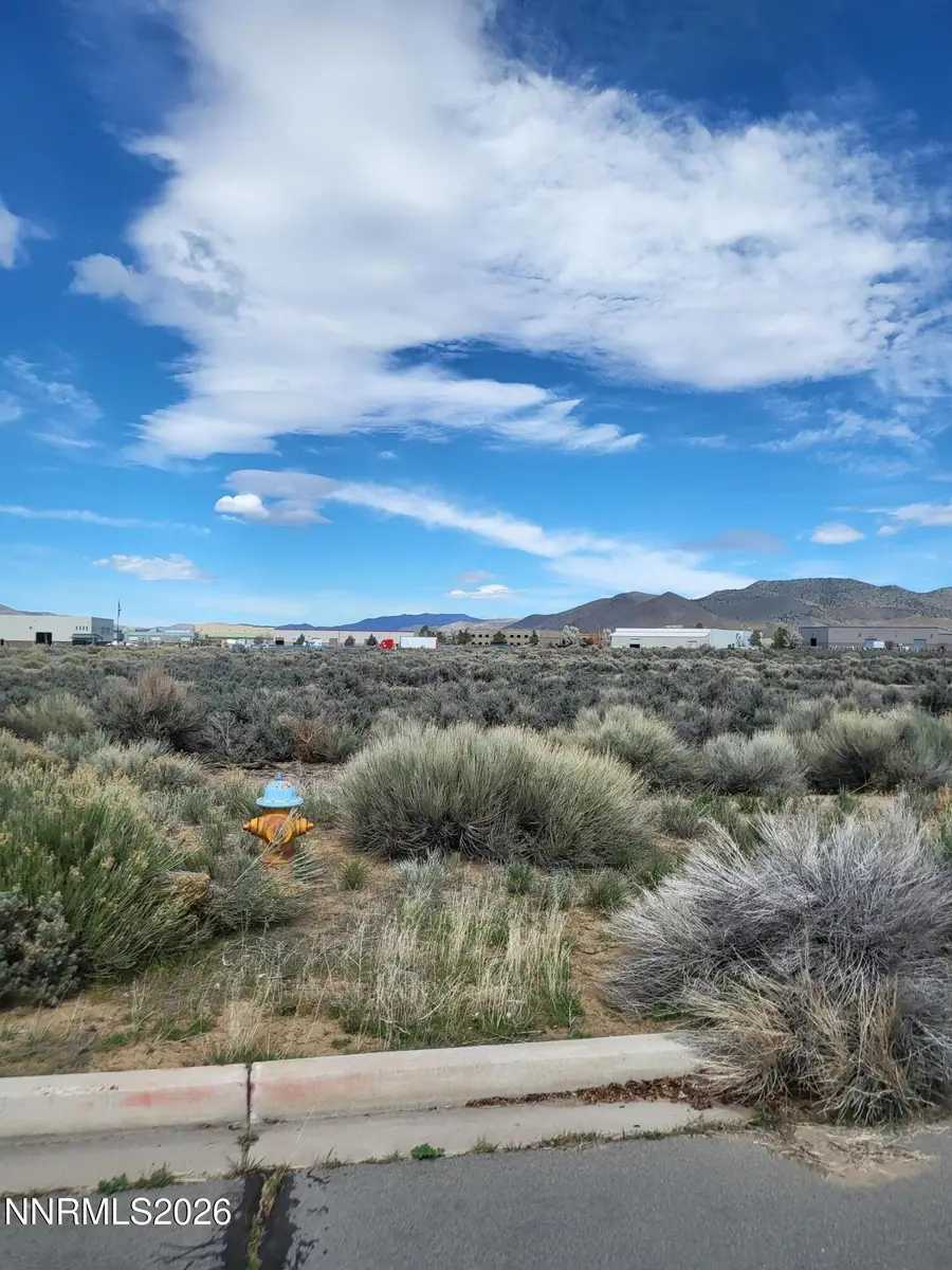 2410 Precision Drive, Minden, NV 89423 - #3