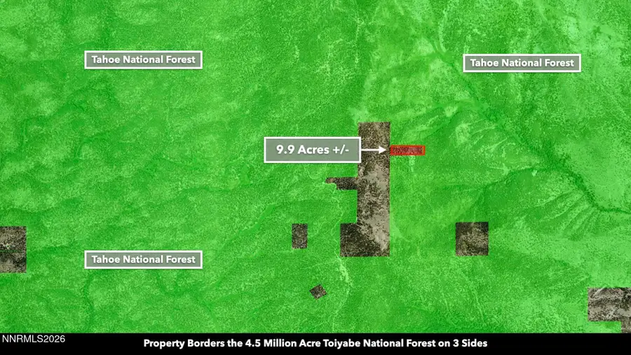 0 Genoa Peak Road, Stateline, NV 89449 - #3