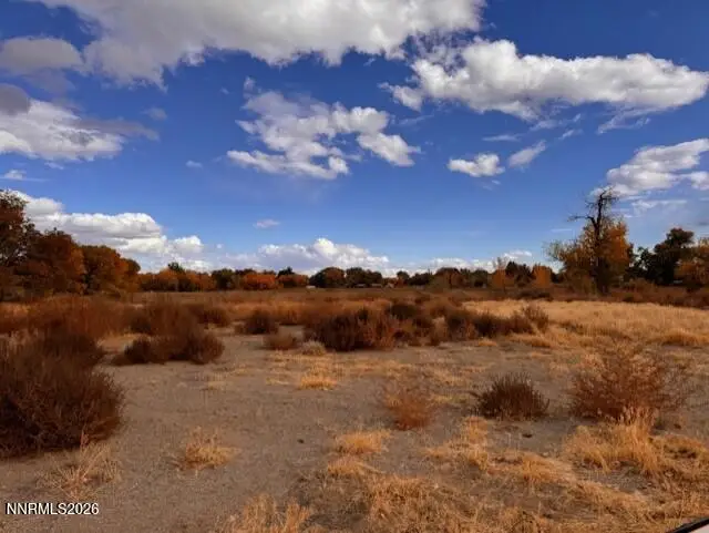 785 Wetland View, Fallon, NV 89406 - #1
