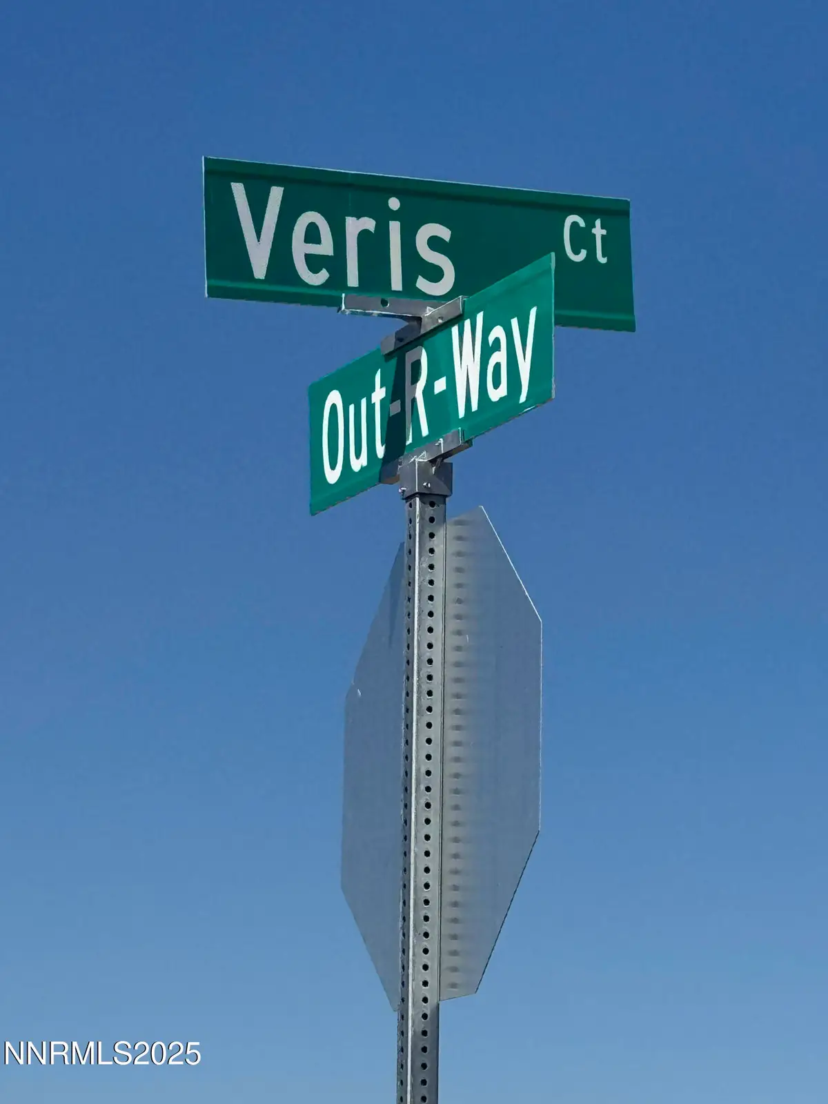 335 Veris Court #3, Gardnerville, NV 89410 - #1