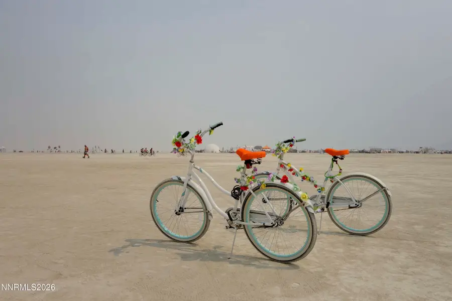 71888 Smoke Creek Road, Gerlach, NV 89412 - #3