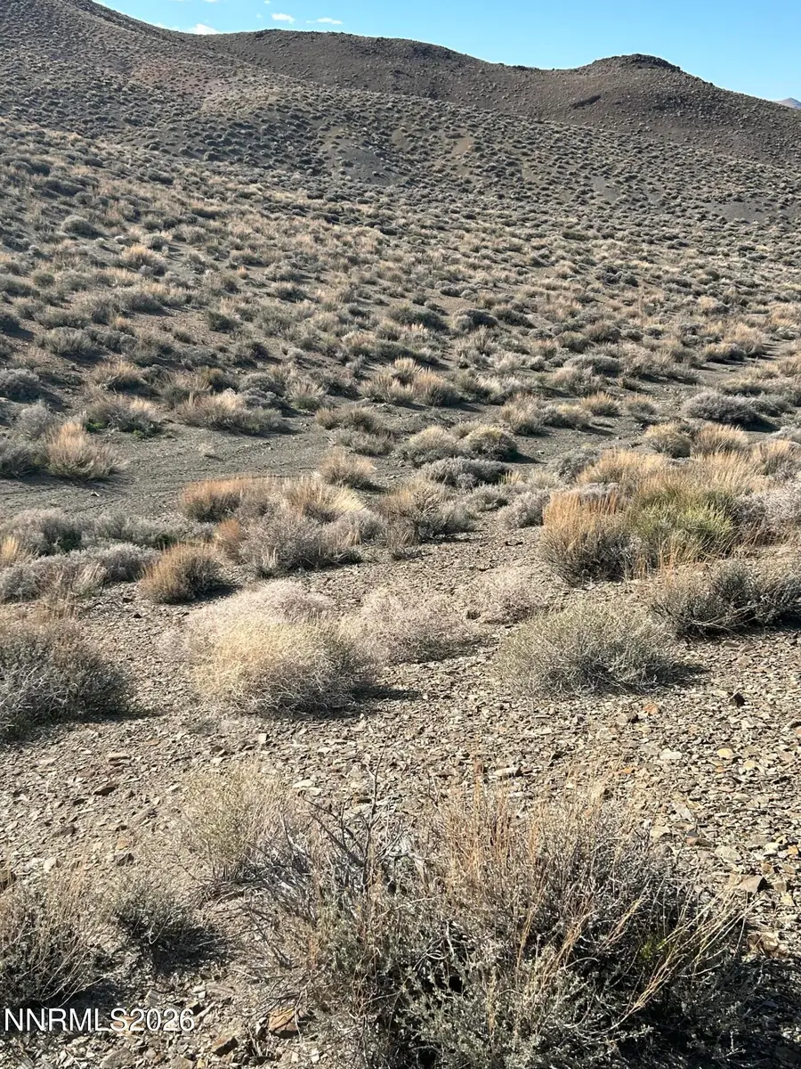 015-521-08 Parcel #015-521-08, Silver Springs, NV 89429 - #2