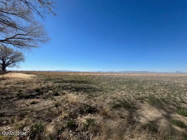 40.23 Acres Workman Road, Fallon, NV 89406 - #2