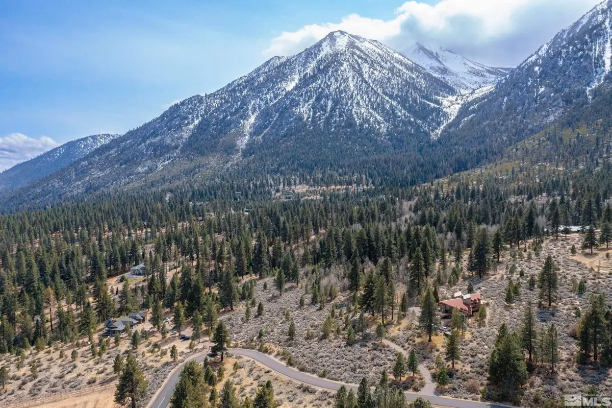 297 Five Creek Road, Gardnerville, NV 89460 - #1