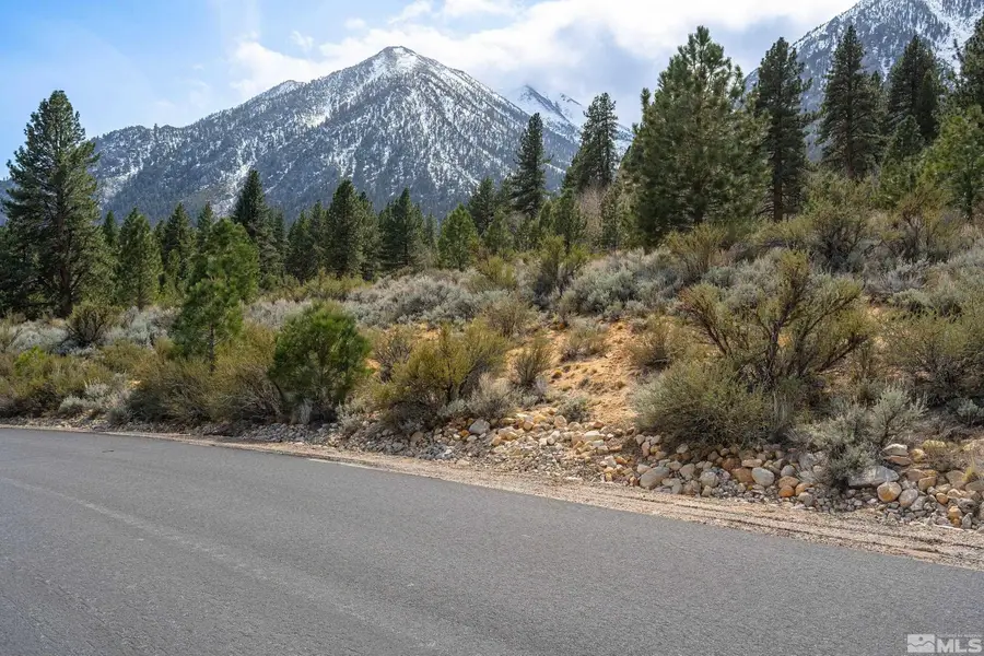 297 Five Creek Road, Gardnerville, NV 89460 - #2