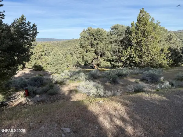 2221 Bulette Road, Reno, NV 89521