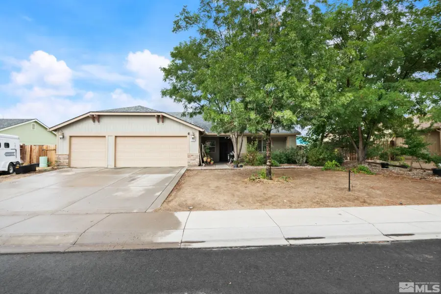 859 Klien Street, Dayton, NV 89403 - #3