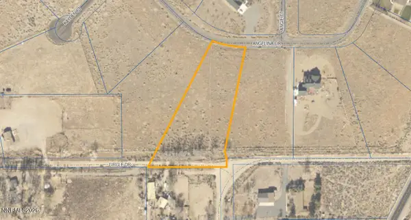 221 Angelina Circle, Smith Valley, NV 89444