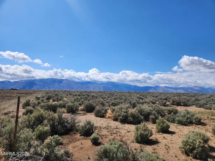 2101 State Route 208, Smith, NV 89430 - #2