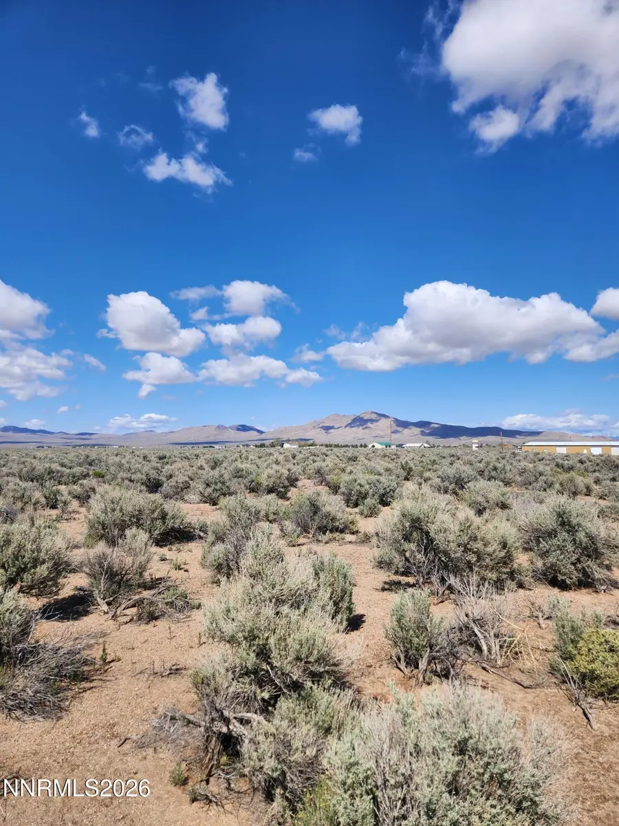 2101 State Route 208, Smith, NV 89430 - #3
