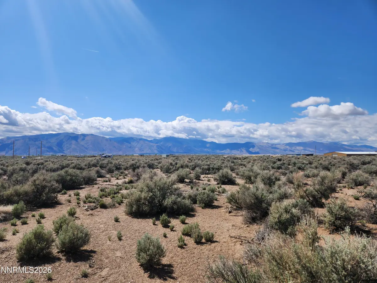 42 Acciari Road, Smith, NV 89430 - #1