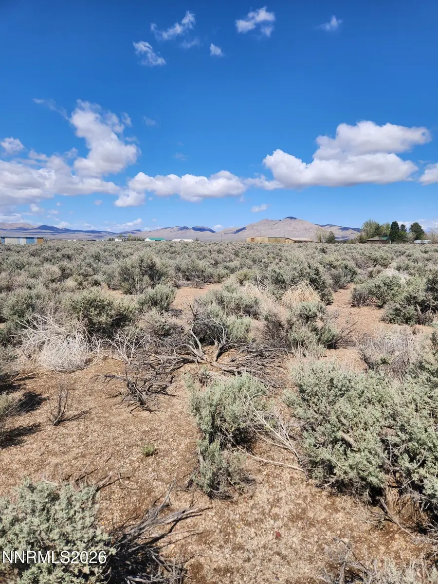 42 Acciari Road, Smith, NV 89430 - #2