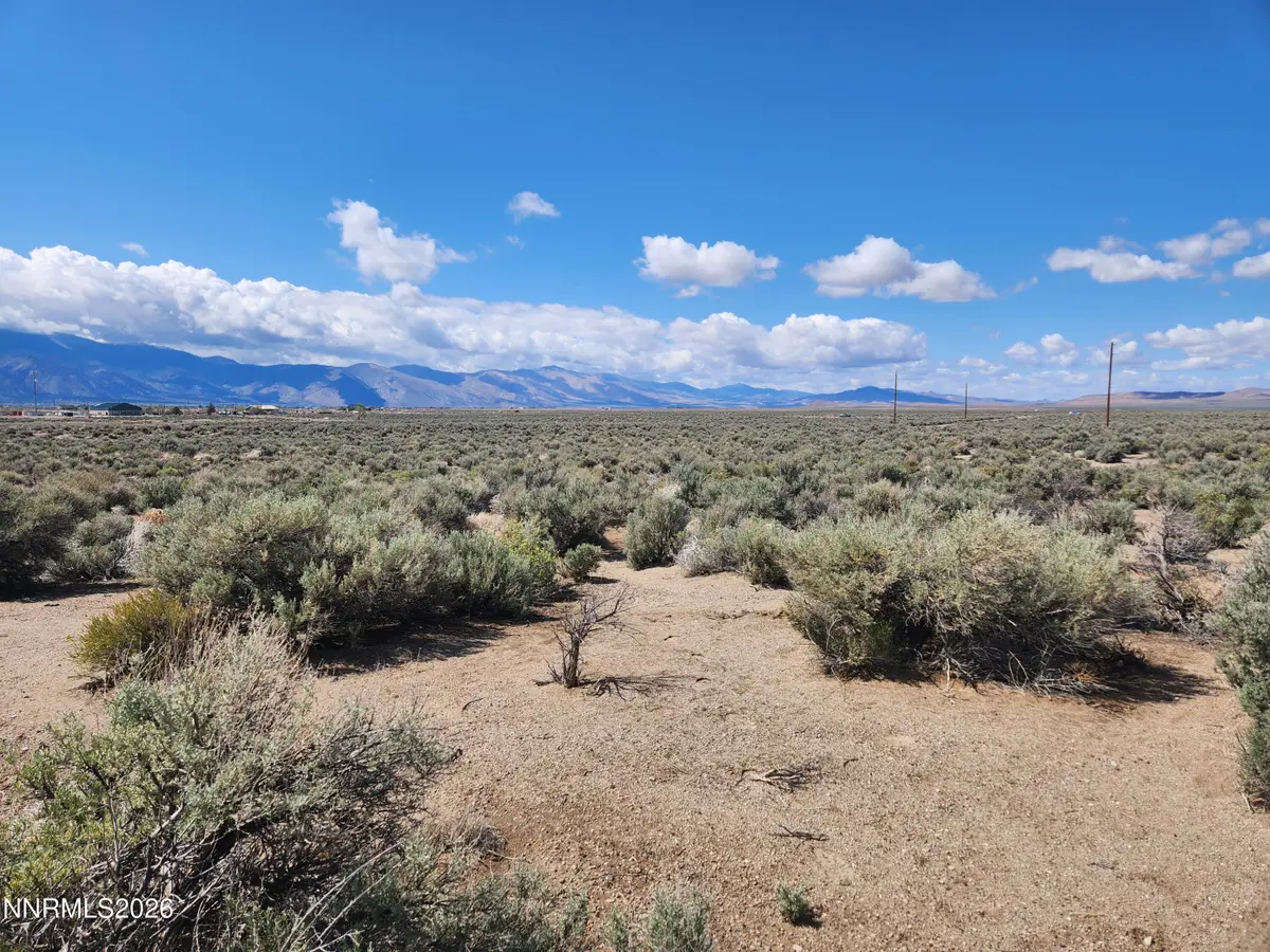19 Acciari Road, Smith, NV 89430 - #1