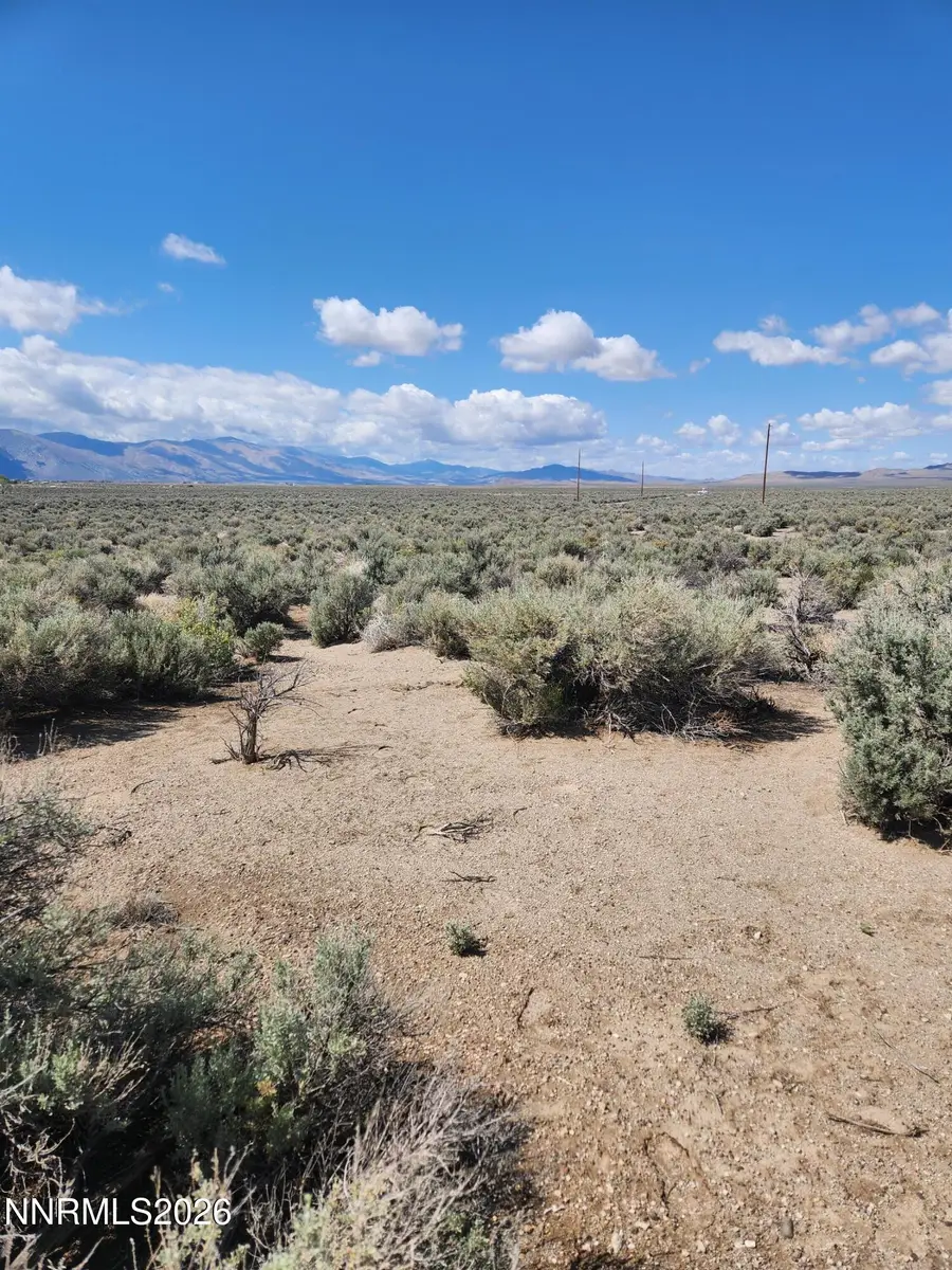 19 Acciari Road, Smith, NV 89430 - #2