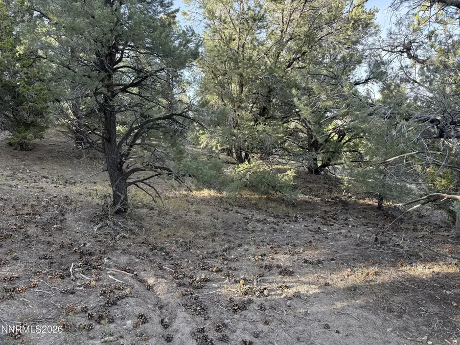 21695 Dortort Drive, Reno, NV 89521 - #2