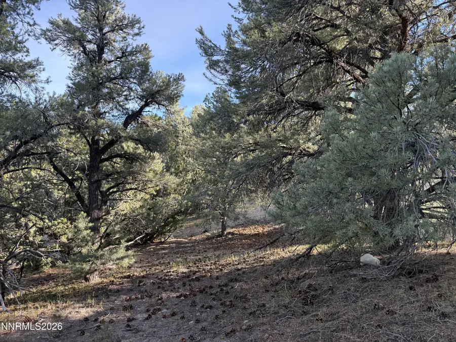 21695 Dortort Drive, Reno, NV 89521 - #3
