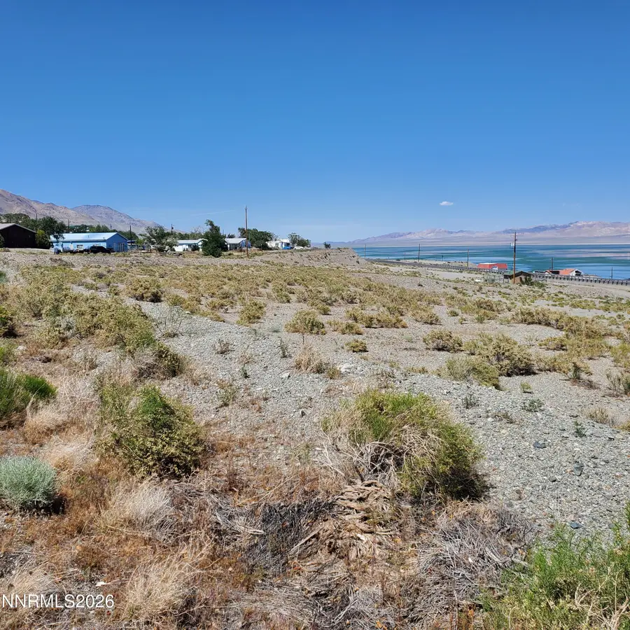 00 Golden Willow & Cottonwood, Walker Lake, NV 89415 - #2
