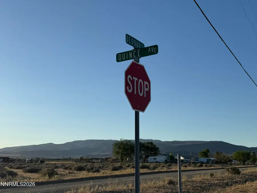4430 Deodar Street, Silver Springs, NV 89429 - #3