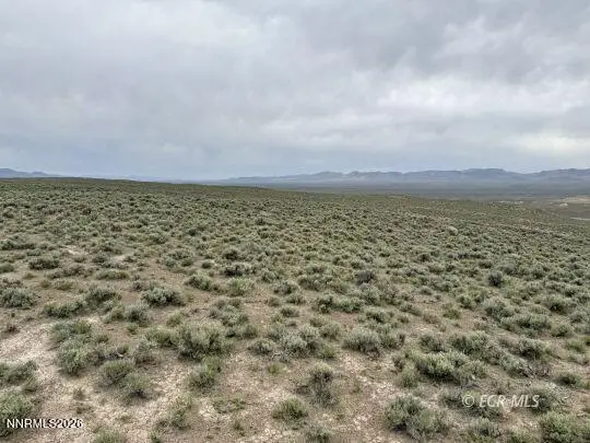 6.6 Pine Street, Elko, NV 89801
