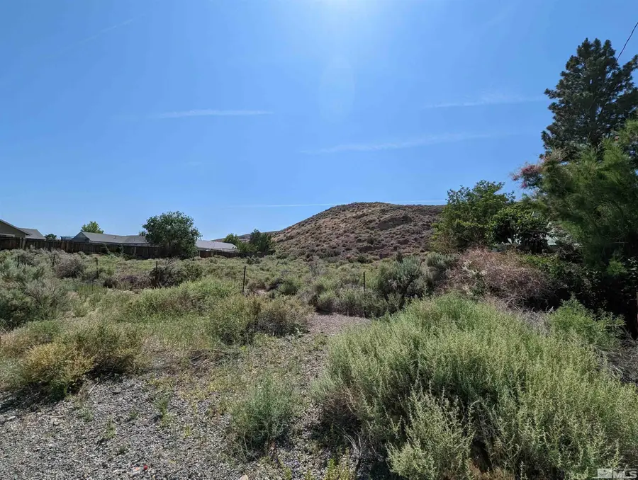 665 Pike Street, Dayton, NV 89403 - #2