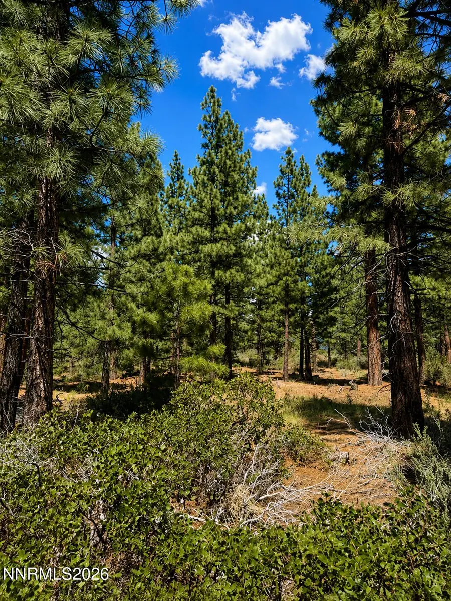 406 Rose Summit Trail #348, Carson City, NV 89705 - #2