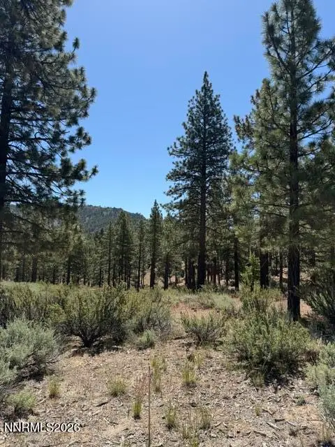 205 Haskell Mill Court, Carson City, NV 89705