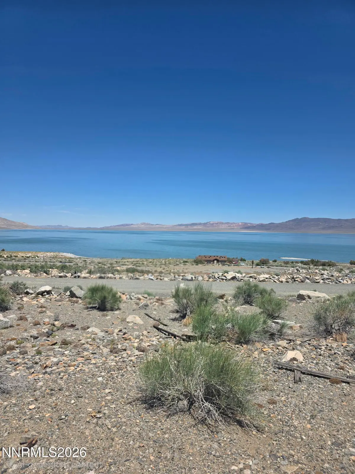 110 Shores Drive, Walker Lake, NV 89415 - #1