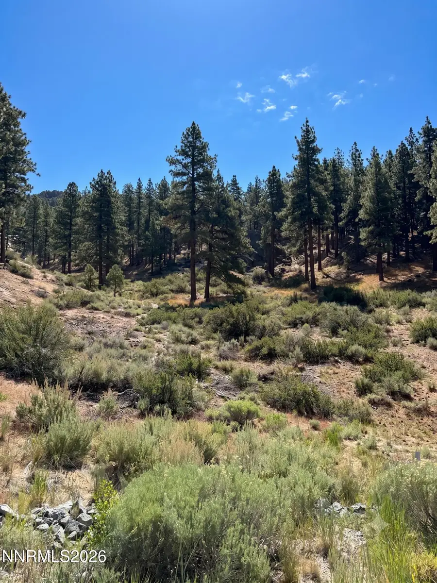 570 Headwaters Way, Carson City, NV 89705 - #3