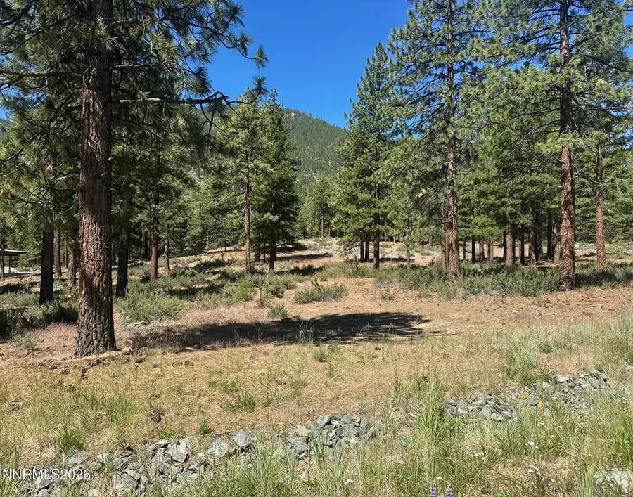 3355 Golf Club Drive #97, Carson City, NV 89705 - #2
