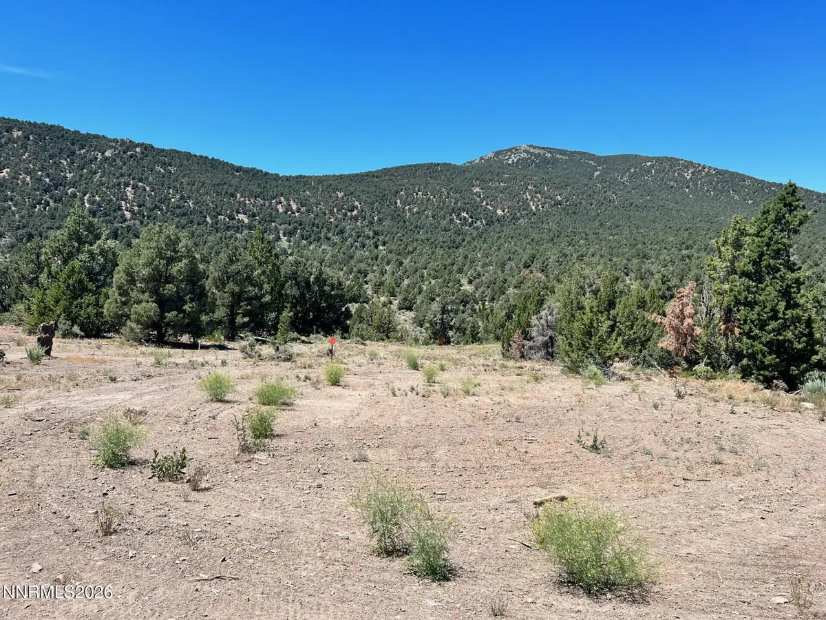 TBD P14 #76, Minden, NV 89423 - #1