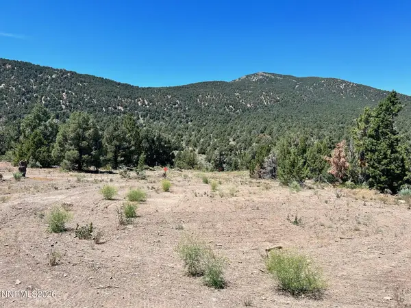 TBD P14 #76, Minden, NV 89423