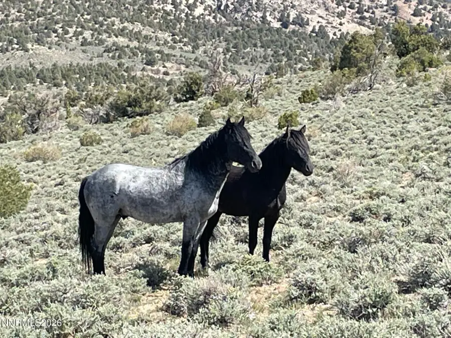 TBD P14 #76, Minden, NV 89423 - #2