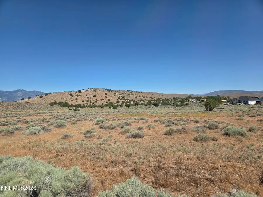 0 Juniper Road, Fish Springs, NV 89410 - #3