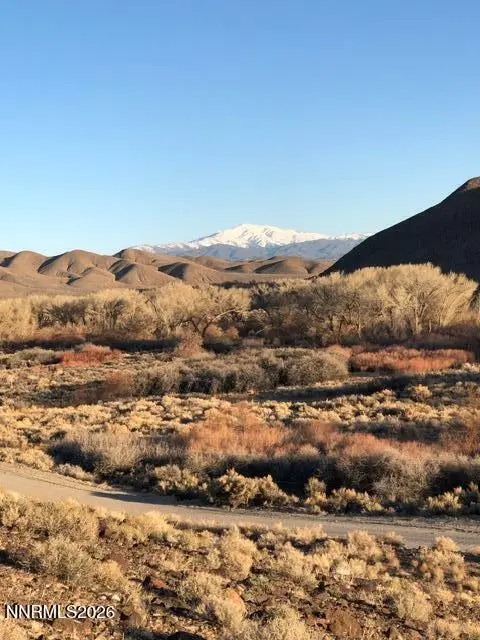 170 E Walker Road, Yerington, NV 89447 - #3