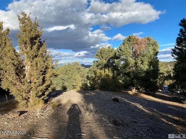 21650 Palamino Road, Reno, NV 89521