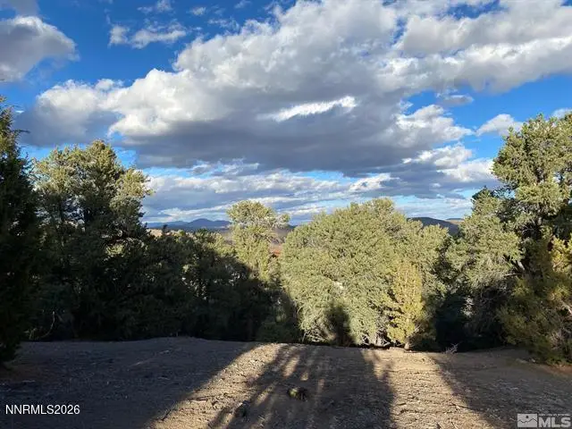 21650 Palamino Road, Reno, NV 89521 - #2
