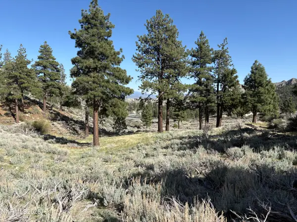 5000 W Hwy 50, Carson City, NV 89705