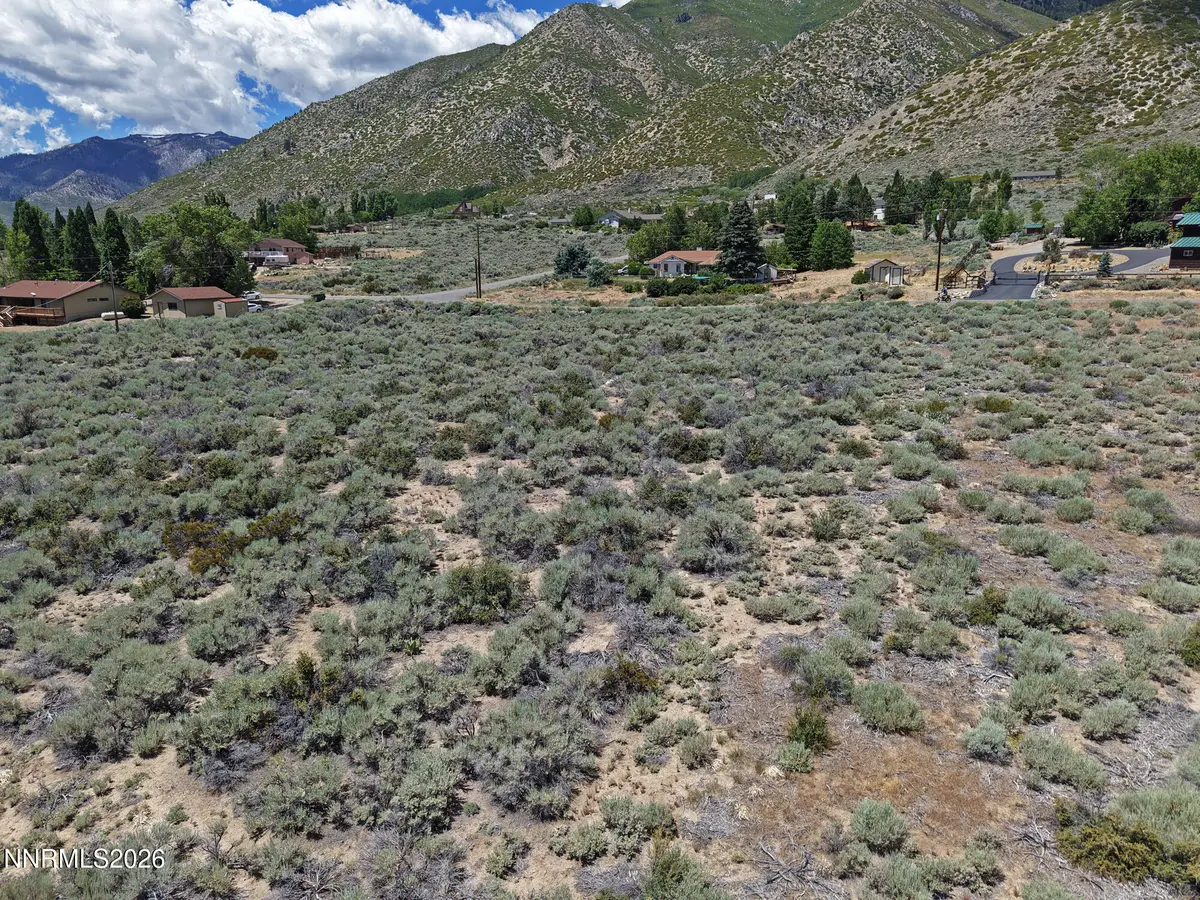 205 Carson View, Markleeville, CA 96120 - #1
